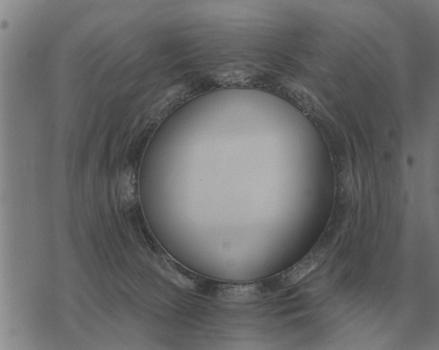 X0000073900081200609011729