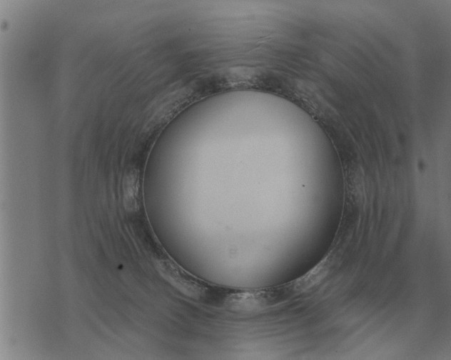 X0000073900082200609011729