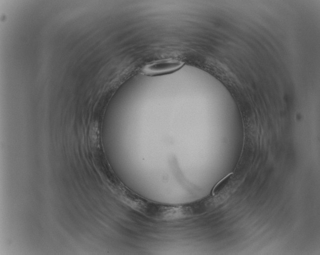 X0000073900083200609011729