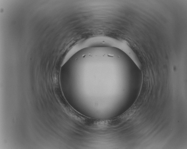 X0000073900084200609011729