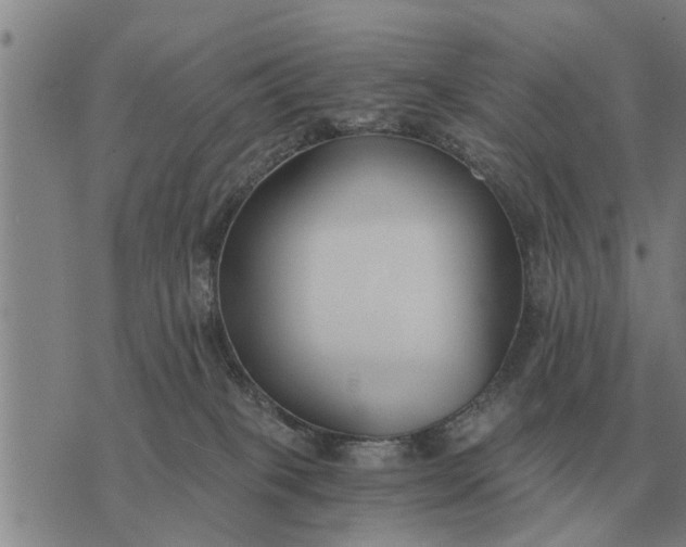 X0000073900085200609011729