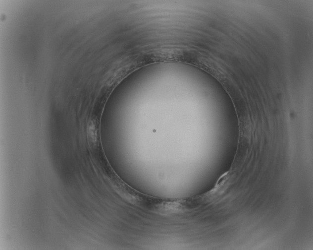 X0000073900086200609011729