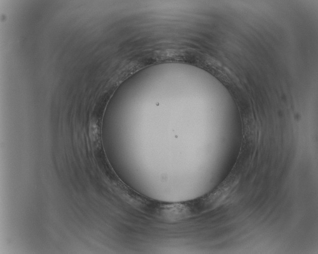 X0000073900087200609011729