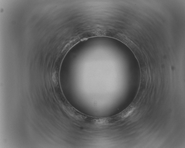 X0000073900088200609011729