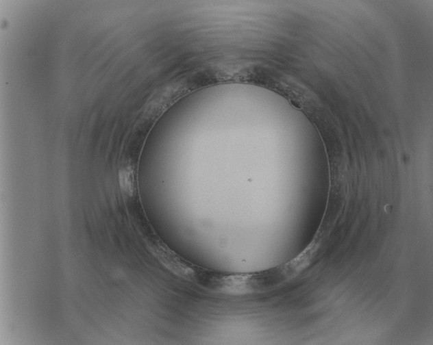 X0000073900090200609011729