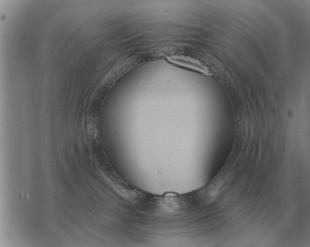 X0000073900091200609011729