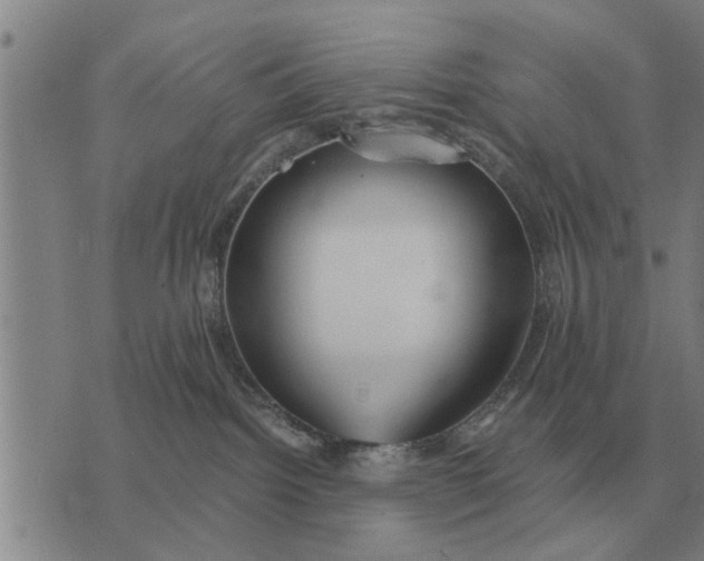 X0000073900092200609011729