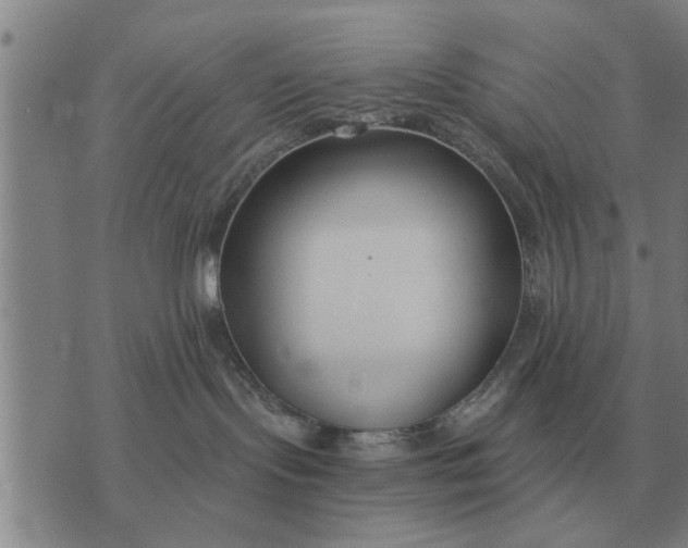 X0000073900095200609011729