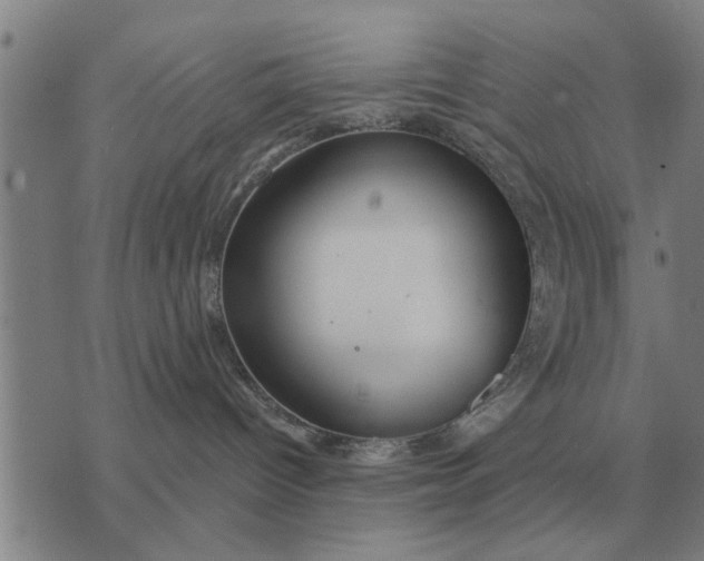 X0000073900096200609011729