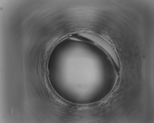 X0000073900097200609011728