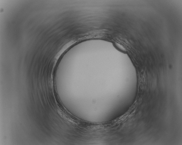 X0000073900100200609011728