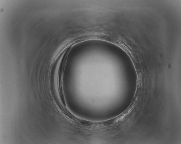 X0000073900101200609011728