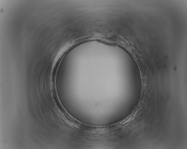 X0000073900102200609011728