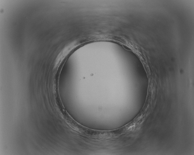 X0000073900103200609011728