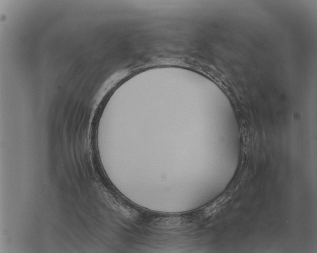 X0000073900104200609011728