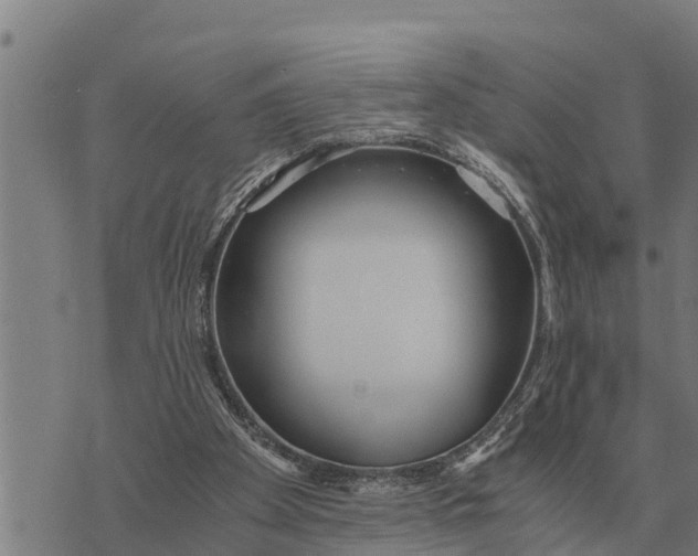 X0000073900105200609011728