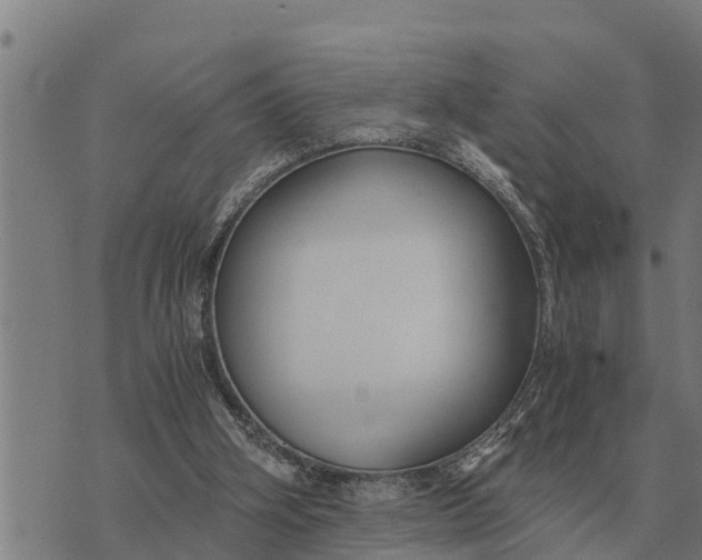 X0000073900106200609011728