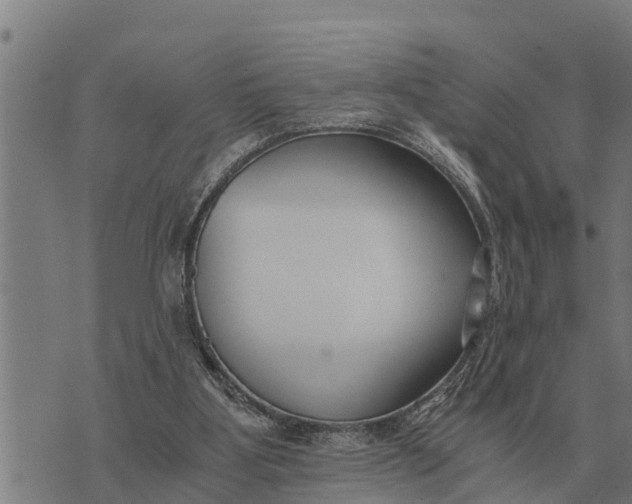 X0000073900107200609011728