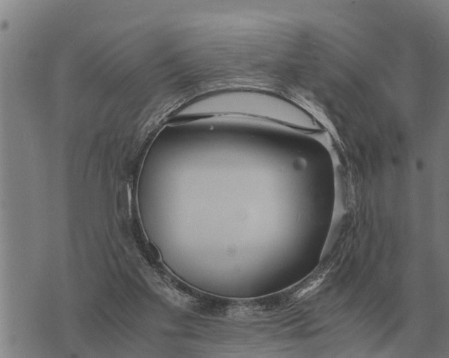 X0000073900109200609011728