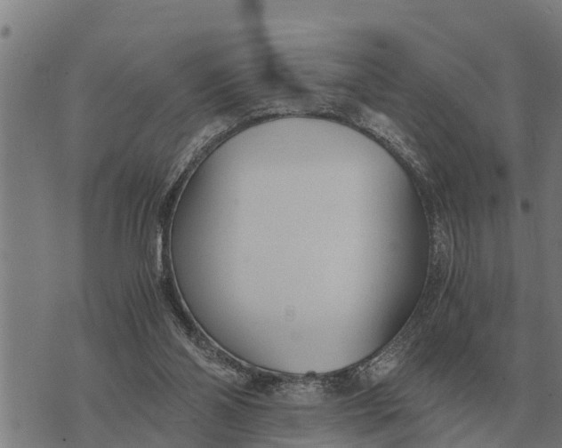 X0000073900110200609011728