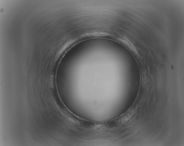 X0000073900111200609011728