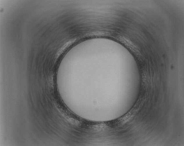 X0000073900112200609011728