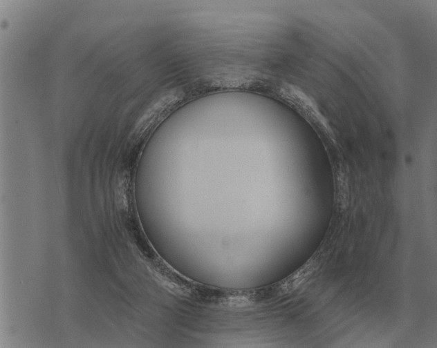 X0000073900114200609011728