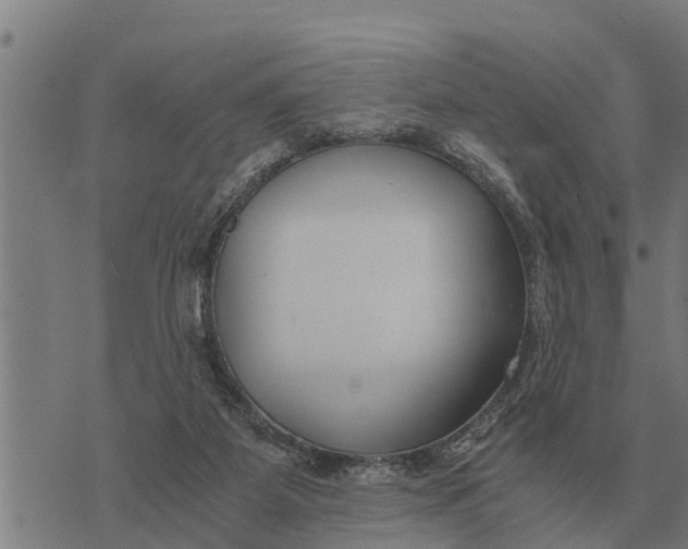 X0000073900115200609011728