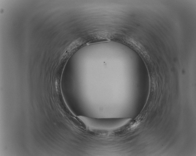 X0000073900117200609011728