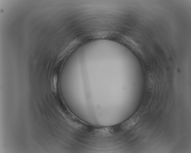 X0000073900118200609011728