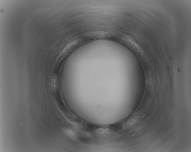 X0000073900119200609011728