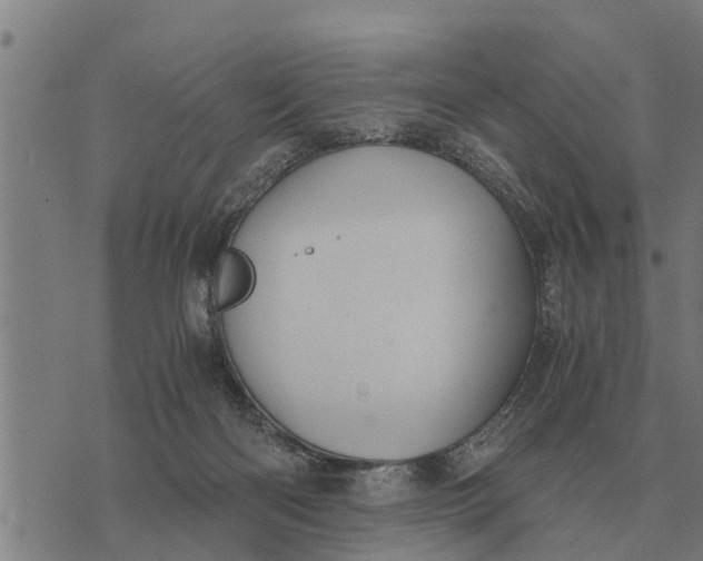 X0000073900122200609011728