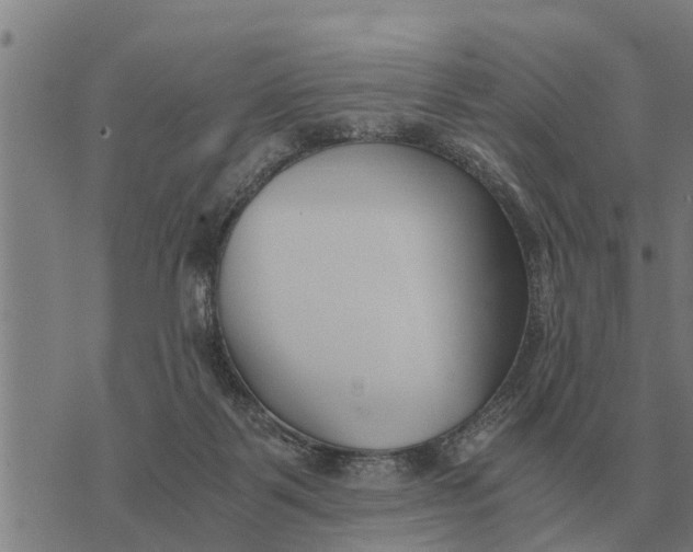 X0000073900123200609011728