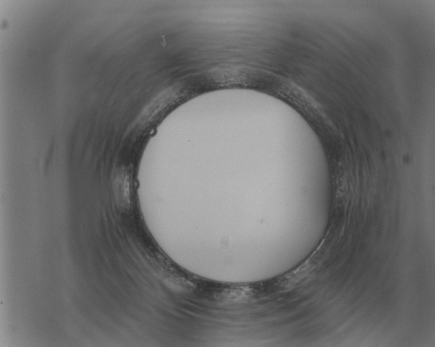 X0000073900124200609011728