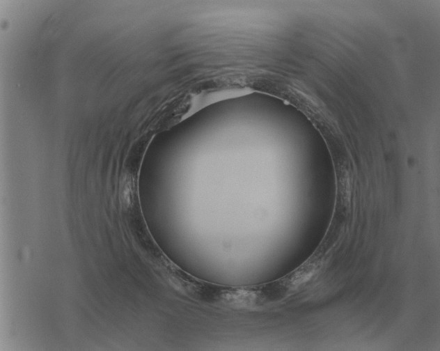 X0000073900125200609011728