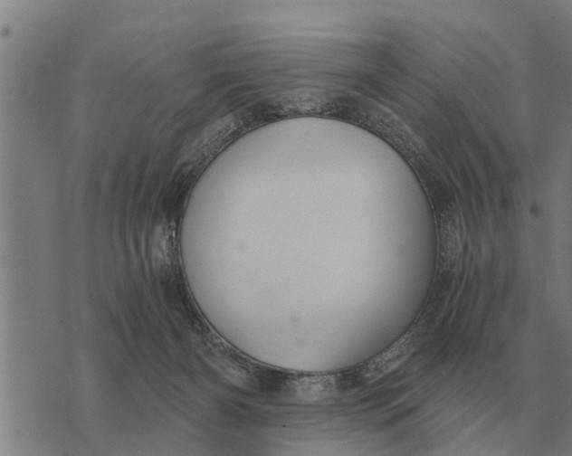 X0000073900126200609011728