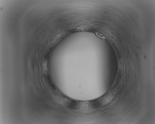 X0000073900127200609011728