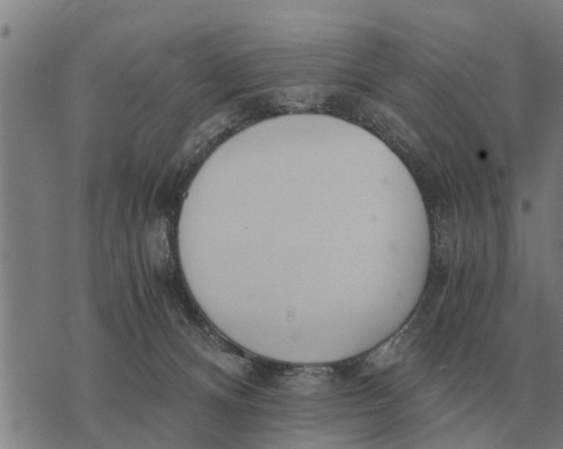 X0000073900128200609011728