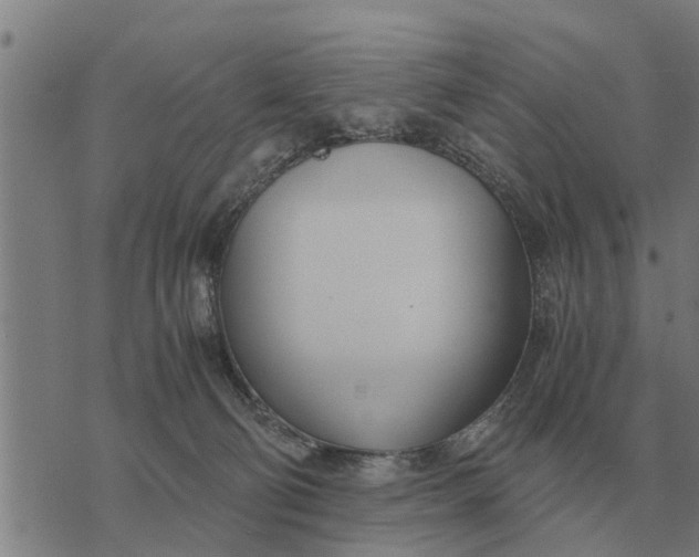 X0000073900130200609011728