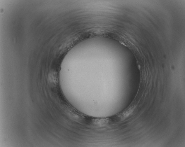 X0000073900135200609011728