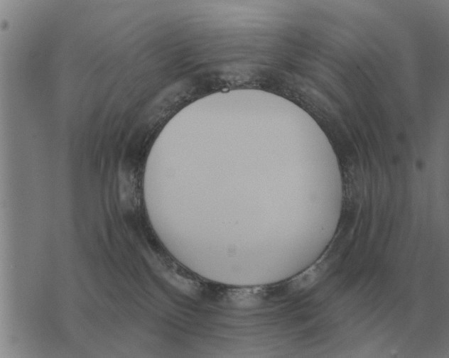 X0000073900136200609011728