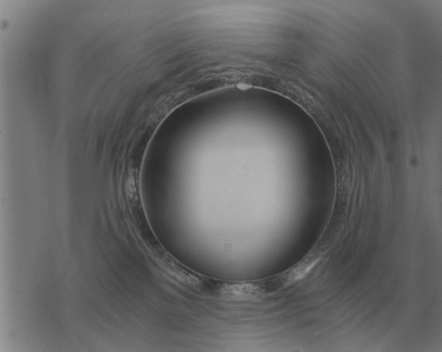 X0000073900137200609011728