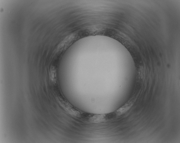 X0000073900138200609011728