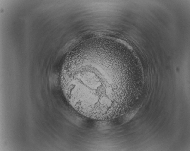 X0000073900139200609011728