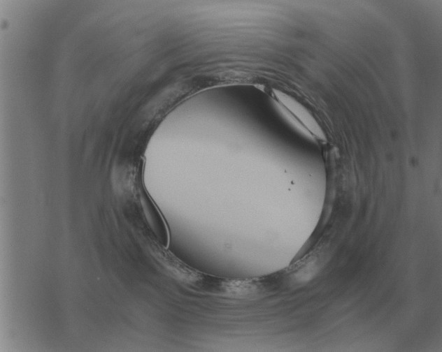 X0000073900141200609011728