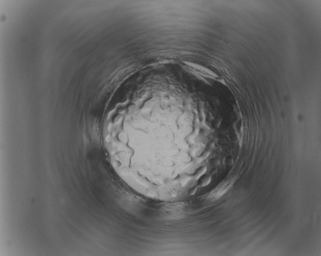 X0000073900143200609011728