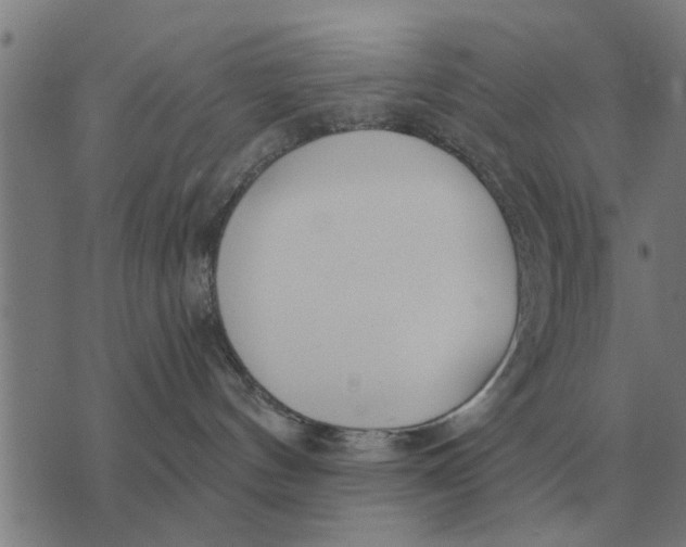 X0000073900144200609011728