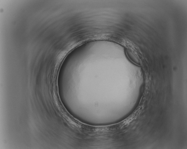 X0000073900145200609011727