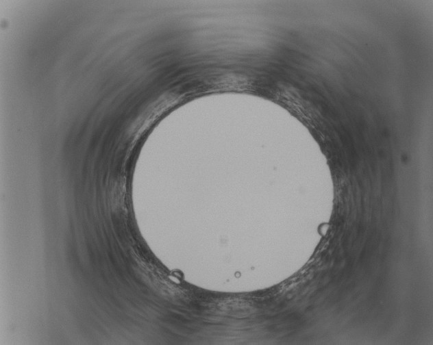 X0000073900146200609011727