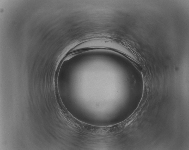 X0000073900148200609011727